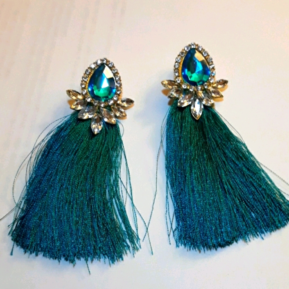 NWOT Post back fringed earrings